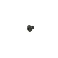 RETAINER RING SCREW 08061