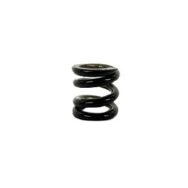 SPRING BLACK 08020