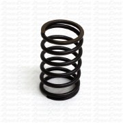 212cc VALVE SPRING EA